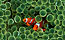 Click to navigate!
